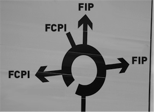 fip-fcpi